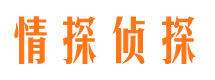 罗山市婚外情调查